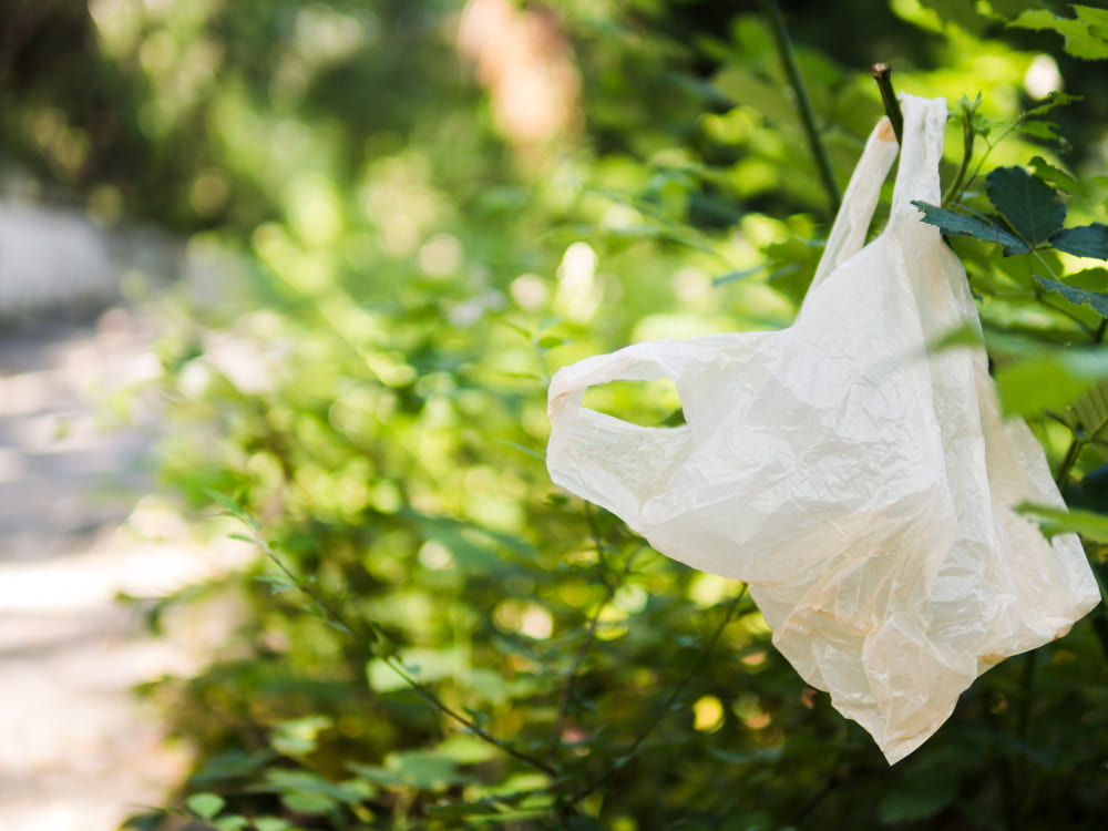 Los fabricantes de bolsas están apostando por materiales más sostenibles